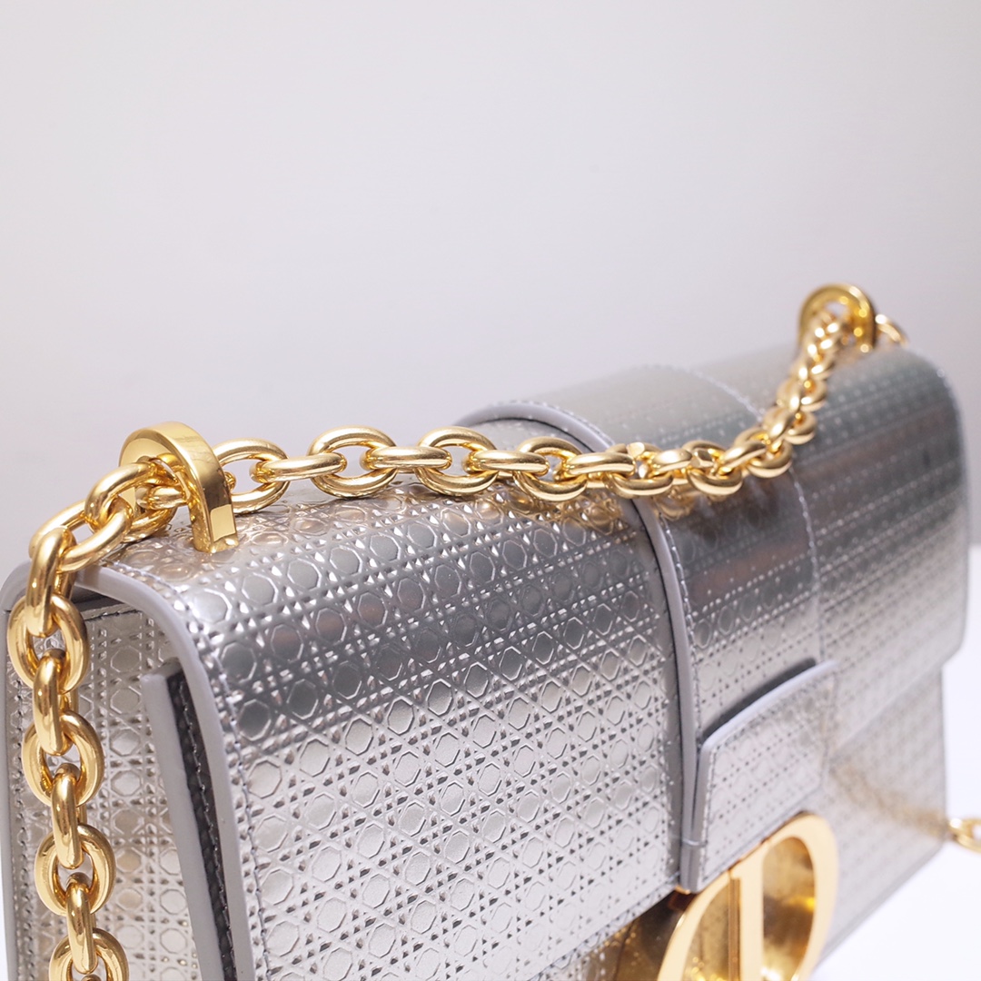 30 Montaigne Chain Bag Silver Calfskin